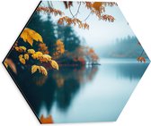 Dibond Hexagon - Boom - Herfst - Water - 30x26.1 cm Foto op Hexagon (Met Ophangsysteem)