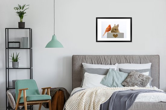 Photo en cadre - Bébé lapin avec un cadre photo oiseau rouge noir avec passe-partout blanc 40x60 60x40 cm - Affiche sous cadre (Décoration murale salon / chambre)