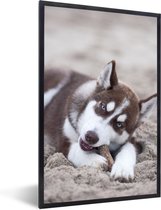 Photo en cadre - Chiot Husky sur la plage cadre photo noir sans passe-partout 40x60 cm - Affiche sous cadre (Décoration murale salon / chambre)