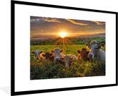 Photo encadrée - Cadre photo Vaches en Irlande noir avec passe partout blanc 80x120 120x80 cm - Affiche encadrée (Décoration murale salon / chambre)