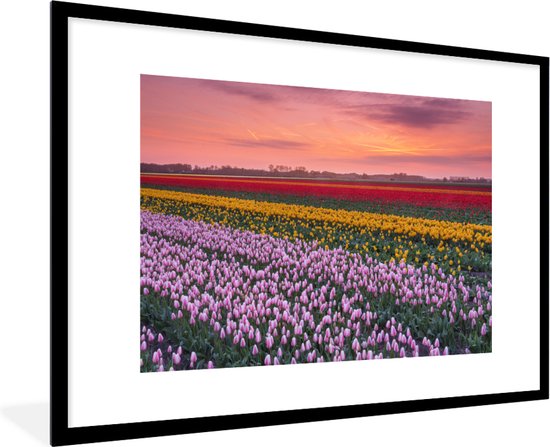 Poster met lijst Paarse tulpen in Nederland