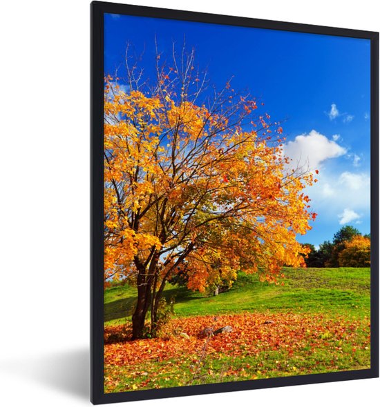 Cadre photo avec affiche - Arbre - Feuilles - Automne - Saisons - 30x40 cm - Cadre pour affiche