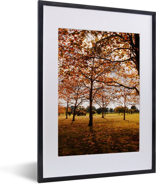 Cadre photo avec affiche - Automne - Feuilles d'automne - Nature - 30x40 cm - Cadre pour affiche