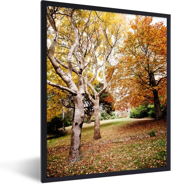 Fotolijst incl. Poster - Herfst - Bomen - Bladeren - natuur - 60x80 cm - Posterlijst