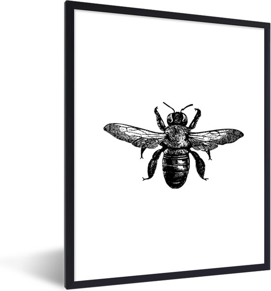 Fotolijst incl. Poster Zwart Wit- Bij - Insect - Vintage - Zwart wit - 30x40 cm - Posterlijst