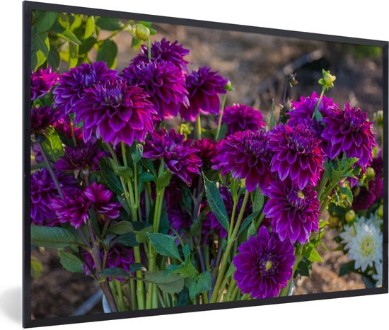 Cadre photo forêt avec dahlias noir sans passe partout