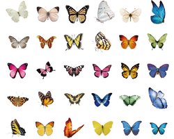 Stickerset Vlinders - 60 stuks - Butterflies - Vlinder Sticker - Butterfly Stickers - Leuk voor o.a. Bullet Journal, Scrapbooking en het maken van kaarte