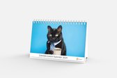 Bureaukalender 2024 - Zakelijke Katten - 20x12cm - 300gms
