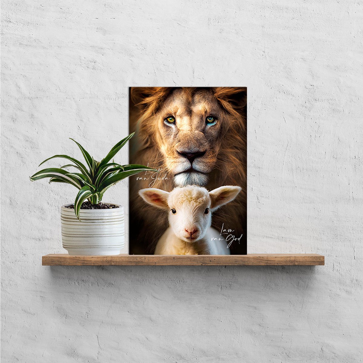 Plexiglas ‘Leeuw & Lam’ - A4 - MajesticAlly