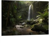 Dibond - Kleine Waterval tussen de Bladeren in het Bos - 100x75 cm Foto op Aluminium (Wanddecoratie van metaal)