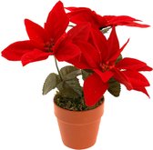 Christmas Decoration Kunstplant - Kerstster - rood -20cm - voor binnen