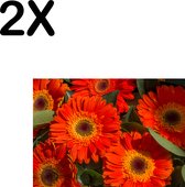BWK Textiele Placemat - Rode Kleurrijke Bloemen in de Natuur - Set van 2 Placemats - 35x25 cm - Polyester Stof - Afneembaar