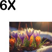 BWK Textiele Placemat - De Eerste Krokus Bloemen van het Seizoen - Set van 6 Placemats - 35x25 cm - Polyester Stof - Afneembaar