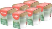 Bolsius - True Joy - 6 Geurkaarsen met Kurken Deksel - Botanic Freshness - Groen - Voordeelverpakking - Geur Kaars