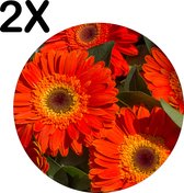 BWK Flexibele Ronde Placemat - Rode Kleurrijke Bloemen in de Natuur - Set van 2 Placemats - 50x50 cm - PVC Doek - Afneembaar