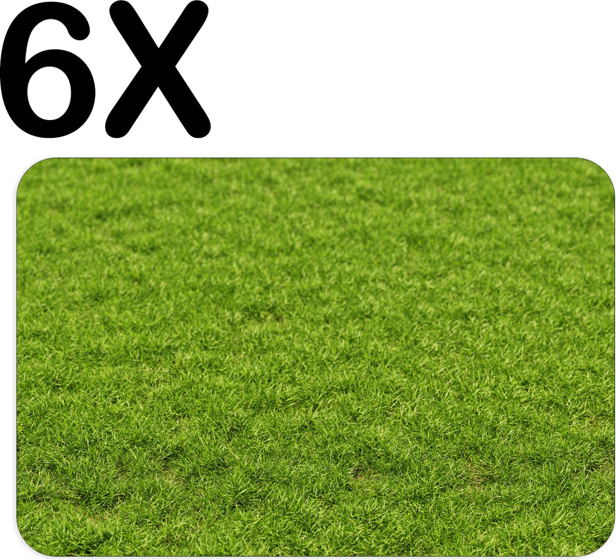 BWK Flexibele Placemat - Groen Gras - Set van 6 Placemats - 45x30 cm - PVC Doek - Afneembaar