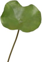 Viv! Home Luxuries Waterlelie blad - kunstbloem - groen - 96cm