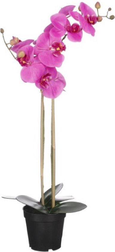 Mica Decorations Orchidee Kunstplant - Paars - 70 x 38 cm