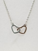 Hartjes ketting - Zilver - Premium Stainless Steel - Cadeautje voor haar - ketting met 2 hartjes hanger -