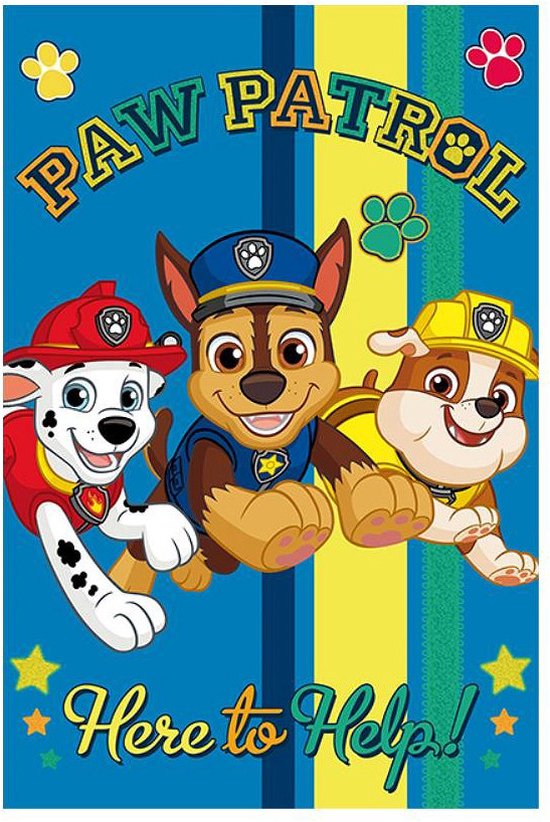 Plaid Polaire Paw Patrol