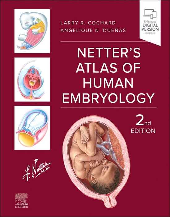 Netter Basic Science- Netter's Atlas of Human Embryology - cover