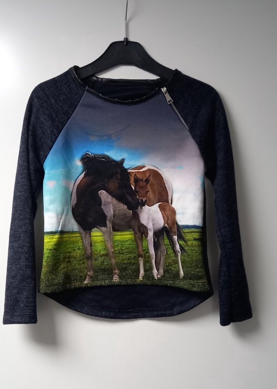 Trui paarden - rits - sweater - 4 jaar