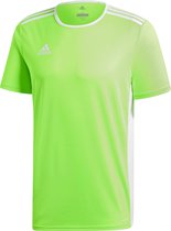 adidas Entrada 18 Trikot Heren Sportshirt - Solar Green/Wit - Maat XL