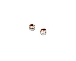 Plux Fashion Fancy Magneet Oorbellen - Chamgagne - 6mm - Metaal - Heren - Dames - Geen gaatje - Sieraden – Magnetische Oorbellen – Diamanten Oorbellen - Luxe Style - Duurzame Kwaliteit - Moederdag Cadeau - Vaderdag Cadeau