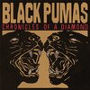 Black Pumas - Chronicles Of A Diamond (CD)