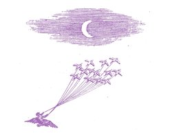Feeling Figures - Migration Magic (LP) (Limited Edition)
