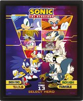 Sonic The Hedgehog Select Your Fighter - Framed 3D Poster