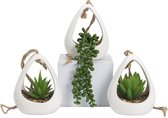GreenDream® Kunstplanten - 3 stuks Hangplanten in Hanger - Cadeautip