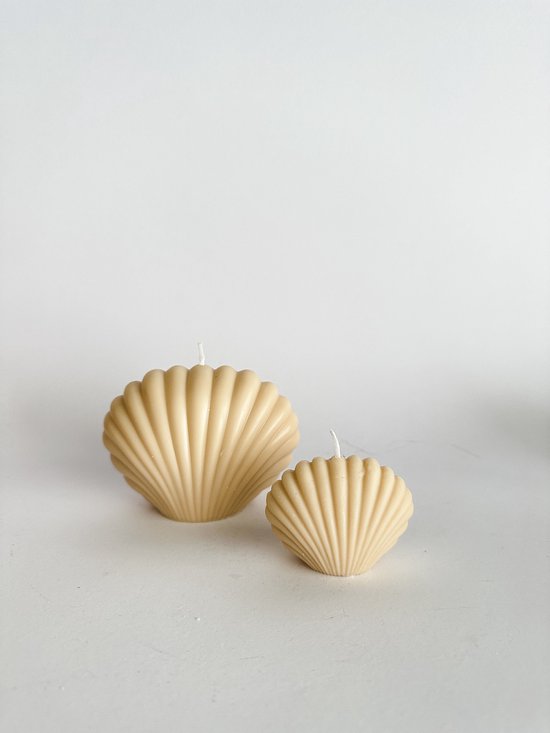 Shell coquillage | Set de 2 bougies coquillages | Bougies esthétiques  Molivin | bol.