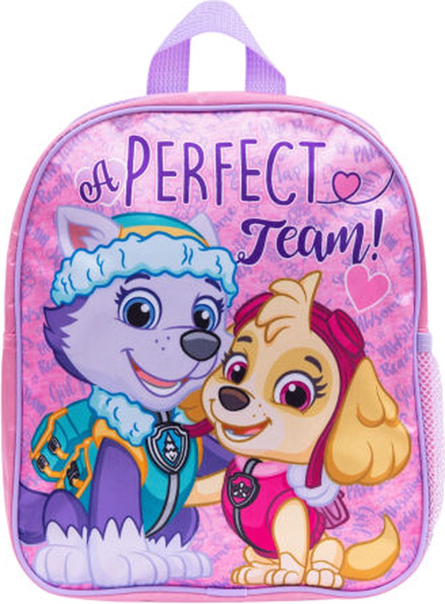 Paw Patrol Skye & Everest Perfect Team Rugzak Rugtas School 3-6 Jaar Roze