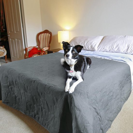 Luxe hondendeken anti-slip - Dierenbenodigdheden kopen? | Korting tot 50