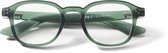 IKY EYEWEAR leesbril RG-4004F groen +3.00