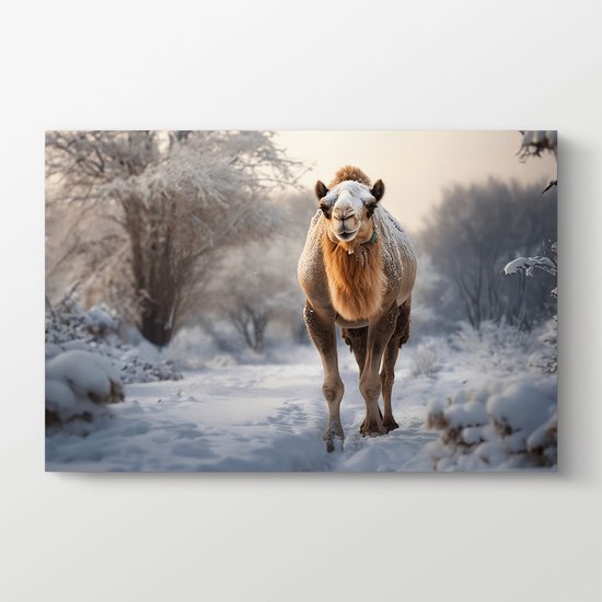 Canvas - Snow Camel - 60x40 cm