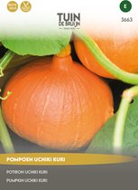 Graines Jardin de Bruijn® - Citrouille Uchiki Kuri (Oranje Sun) - propres à la consommation - également pour la décoration - 10 grammes de graines