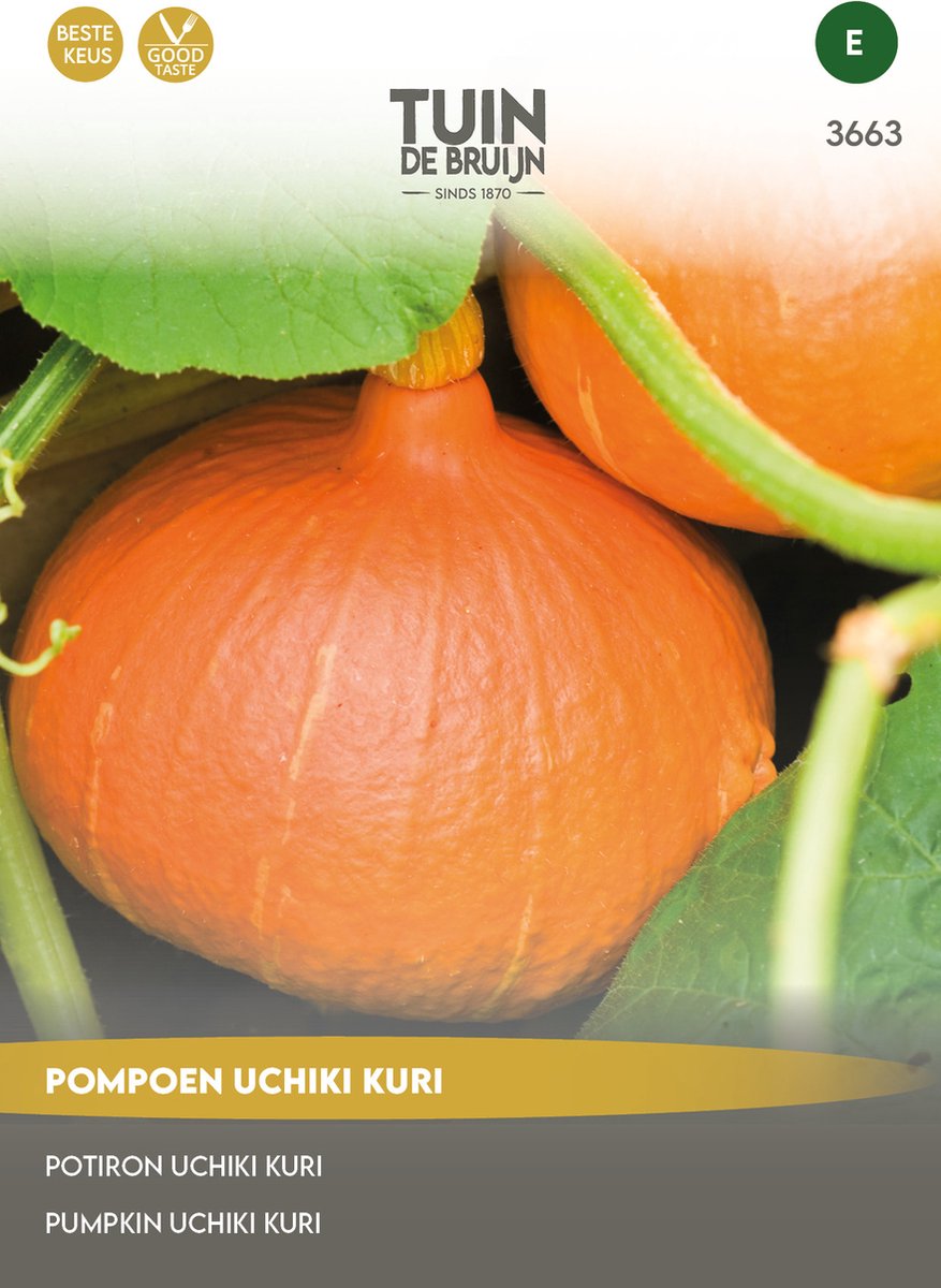 Tuin de Bruijn® zaden - Pompoen Uchiki Kuri (Oranje Zon) - geschikt voor consumptie - ook voor de sier - 10 gram zaden