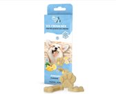 Honden ijsjes | Coolpets Dog Ice Mix | Ananas