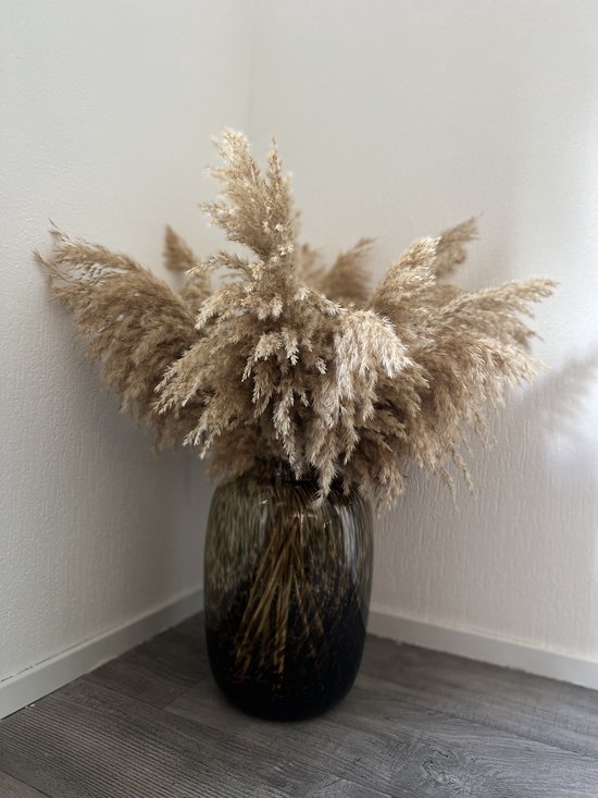 Foto: Pampas pluimen 20 stuks pampasgras droogbloemen 100 cm boeket decoratie pluimen luxury living rietpluimen