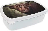 Broodtrommel Wit - Lunchbox - Brooddoos - Schotse hooglander - Licht - Portret - Natuur - 18x12x6 cm - Volwassenen