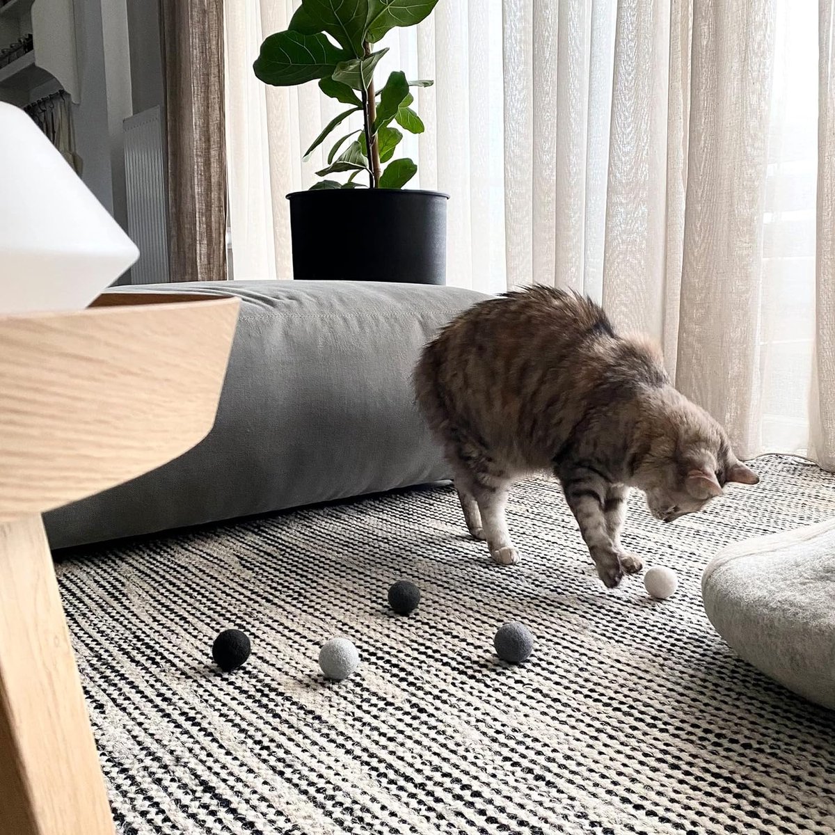 Basics kattenspeelgoed vilten ballen Pak je voordeel