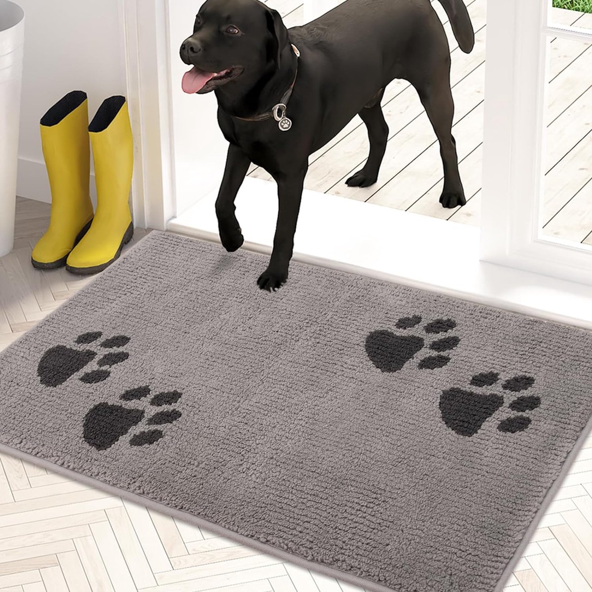 Paillasson, lavable en machine, antidérapant, tapis anti-saleté, tapis pour  chien