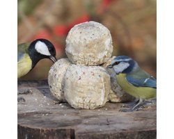 Aniculis - Premium vetbollen met insecten & meelwormen (50 x 85g) | Mezenbollen voor tuinvogels zonder netje | Energie- en eiwitrijk voer voor wilde vogels