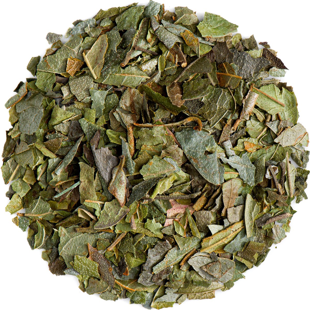 Boldo Bladeren Thee Bio - Boldo Blad
