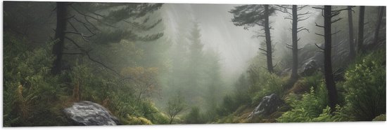 Vlag - Bos - Mistig - Bomen - Pad - Stenen - 120x40 cm Foto op Polyester Vlag
