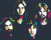 Pink Floyd Poster | Band Poster | Muziek Poster | Rock Poster | Wanddecoratie | Muurposter | 71x51cm | Geschikt om in te lijsten