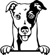 Sticker - Glurende Hond - Greyhound - Zwart - 25x20cm - Peeking Dog