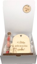 Geschenkbox wil jij mijn METER zijn? | roze | nichtje | peg doll | houten poppetje | liefste meter | meter vragen | meter worden | peettante vragen | peettante worden | cadeau  | geschenkdoos | giftbox